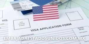 aplicación de visa formulario